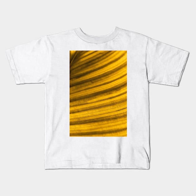 Golden Leaf II Kids T-Shirt by Design A Studios